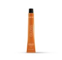 Lakme Gloss Color 8/13 60 ml